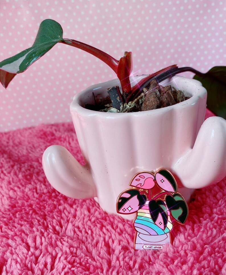 May include: A pink enamel pin featuring a cartoon plant with rainbow stripes and the text "Plant Lover".