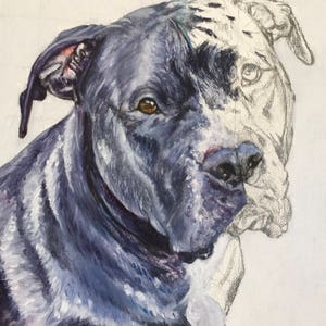 Custom dog painting, custom animal painting, custom pet painting, pet gift, abstract dog art, dog art, animal art, birthday gift image 2