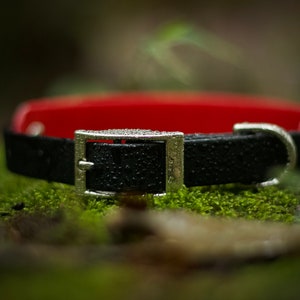 TRUDGE // Adventure Proof Biothane Dog Collars image 2