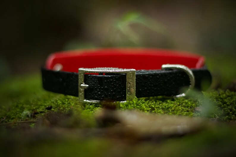 TRUDGE // Adventure Proof Biothane Dog Collars image 2