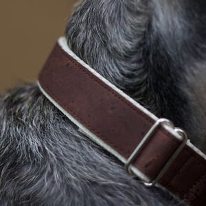 Mocha // Vegan & Sustainable Cork Dog Collars image 2