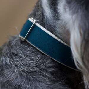 Teal // Vegan & Sustainable Cork Dog Collars image 2