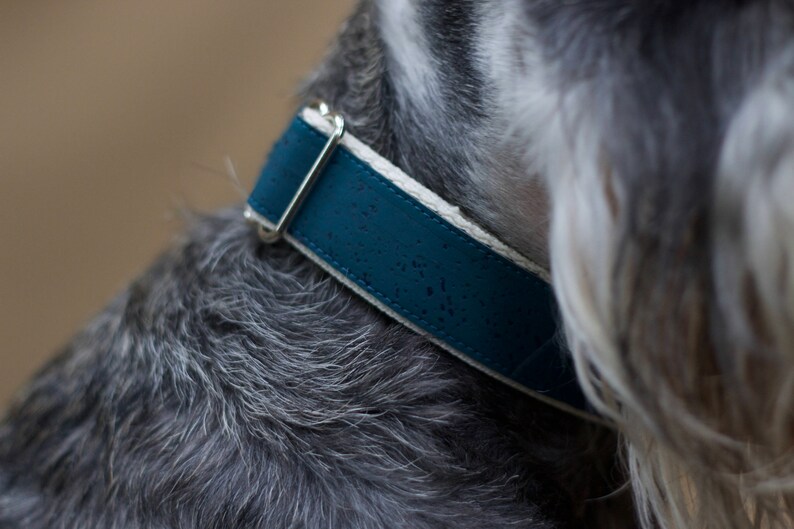 Teal // Vegan & Sustainable Cork Dog Collars image 2