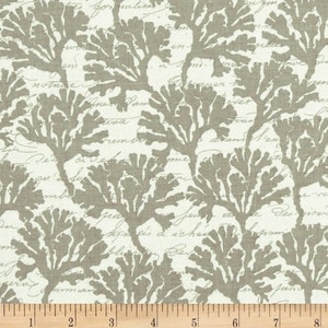 Marina in Clay by Michael Miller Fabrics (Yards or by the bolt)