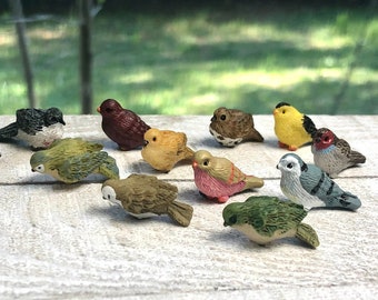 Miniature Backyard Bird Figurines, 12 Styles ~ Spring Fairy Garden, Dollhouse, Terrarium & Diorama Accessories and Animals ~ Summer Crafts