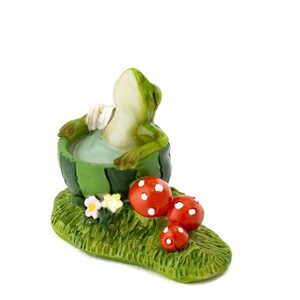 Tiny Frog in Watermelon Bathtub ~ Woodland Fairy Garden Accessories & Supply ~ Miniature Fairy Animal Figurines ~ Frog Themed Party Decor