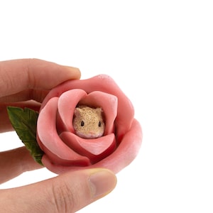 May include: A small, light pink rose with a tiny brown mouse peeking out from the centre.