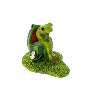 Tiny Frog on Watermelon Toilet ~ Woodland Fairy Garden Accessories & Supply ~ Miniature Fairy Animal Figurines ~ Frog Themed Party Decor