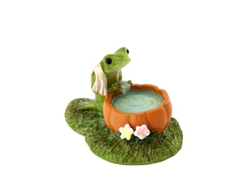 Tiny Frog Washing Face in Pumpkin Water Basin ~ Fairy Garden Accessories ~ Miniature Animal Figurines ~ Frog Themed Party Decor