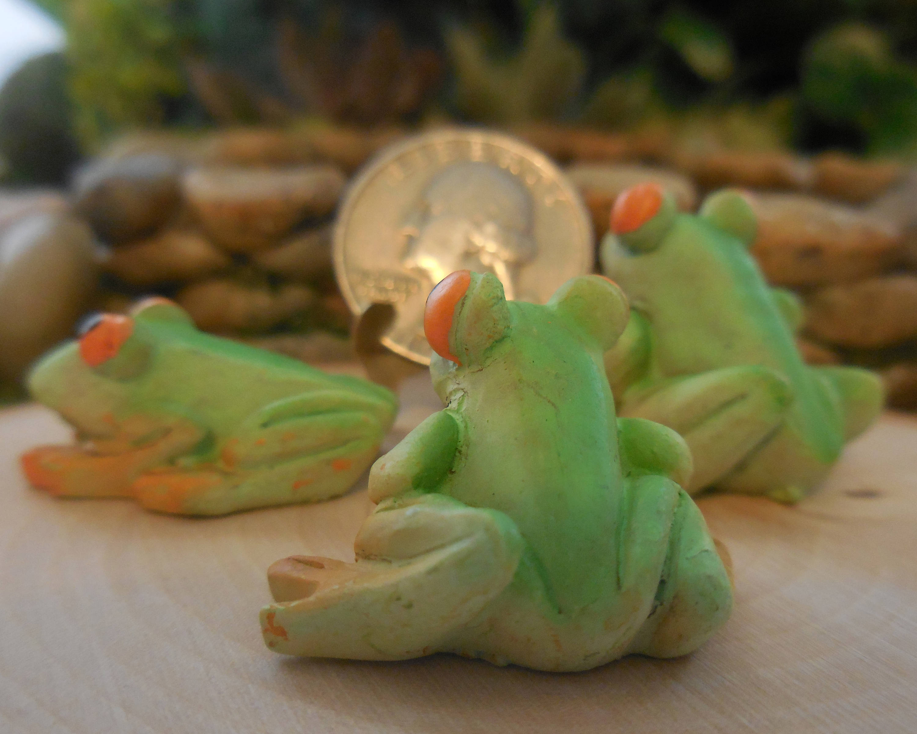 Miniature Tropical Frogs Set of 3 Fairy Garden Frogs Figurines, Bright  Green & Orange Pond Frog Accessory Mini Animal for Terrariums 