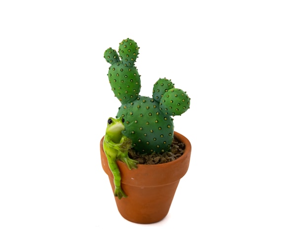 DIY Mini Miniature Fairy Garden Ornament Decor Pot Craft Cactus Accessories CY DIY Mini Miniature Fairy Garden Ornament Decor Pot Craft Cactus Accessories CY