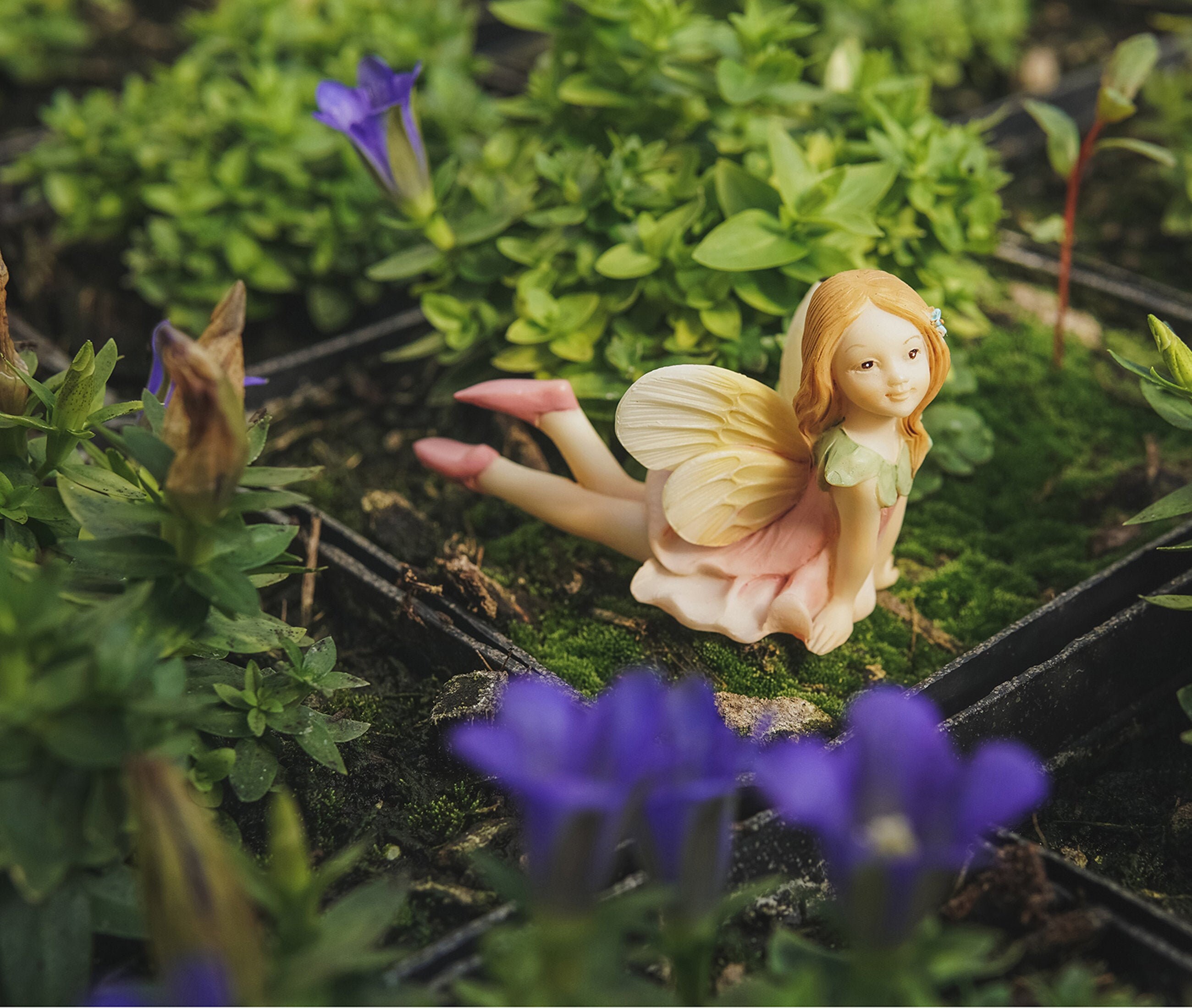 Sitting Fairy with Gazing Ball in Gold Dress Miniature Fairy Garden Dollhouse 