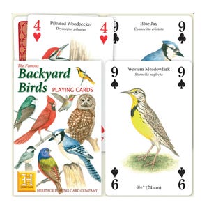 Cartes à jouer oiseaux de jardin célèbres ~ Carte insectes pour scrapbooking, collages et journaux indésirables ~ Soirée jeux éducative en famille