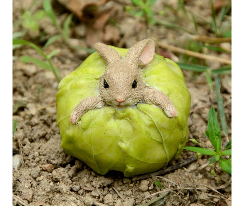 Miniature Bunny Inside a Garden Cabbage Figurine Easter Etsy