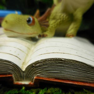 Fairy Garden Dragon Reading a Book Miniature Animal Figurine for Terrarium Fairy Garden Supply and Accessory Fairy Figurines image 7