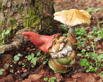 Gnometastic Statuette de nain de jardin avec doigt d'honneur de 31,8 cm de  haut – Statue originale de nain de jardin à double oiseau et décoration de  pelouse – Nains de jardin