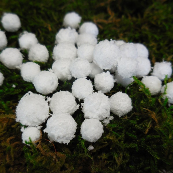 Artificial Snowballs, Fake Snowballs, Tiny White Foam Snowballs for Fairy Garden, Terrarium, Train Set, and Miniatures or Winter Dioramas