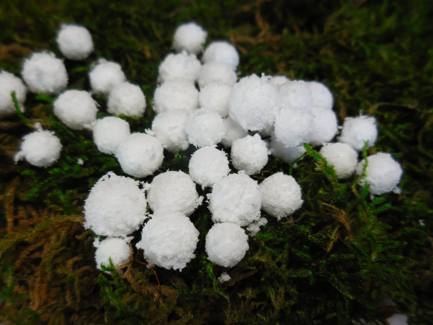 Artificial Snowballs Fake Snowballs Tiny White Foam Etsy