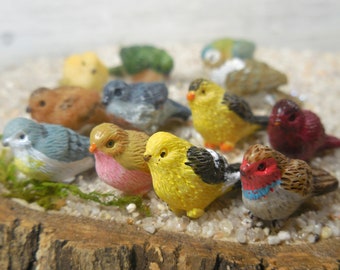 Miniature Fairy Garden Birds, 12 Styles, Mini Birds for Fairies, Tiny Bird Figurine, Fairy Garden Supply, Terrarium Accessory