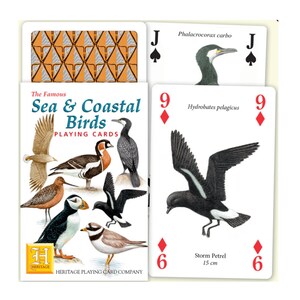 Naipes de aves marinas y costeras famosas ~ Tarjetas de aves para álbumes de recortes, collages y diarios basura ~ Noche de juegos educativos para la familia