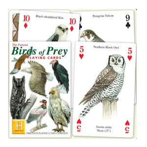 Cartas de Baralho de Aves de Rapina Famosas ~ Cartão de Pássaro para Scrapbooking, Colagens e Diários de Lixo ~ Noite de Jogos Educativos em Família