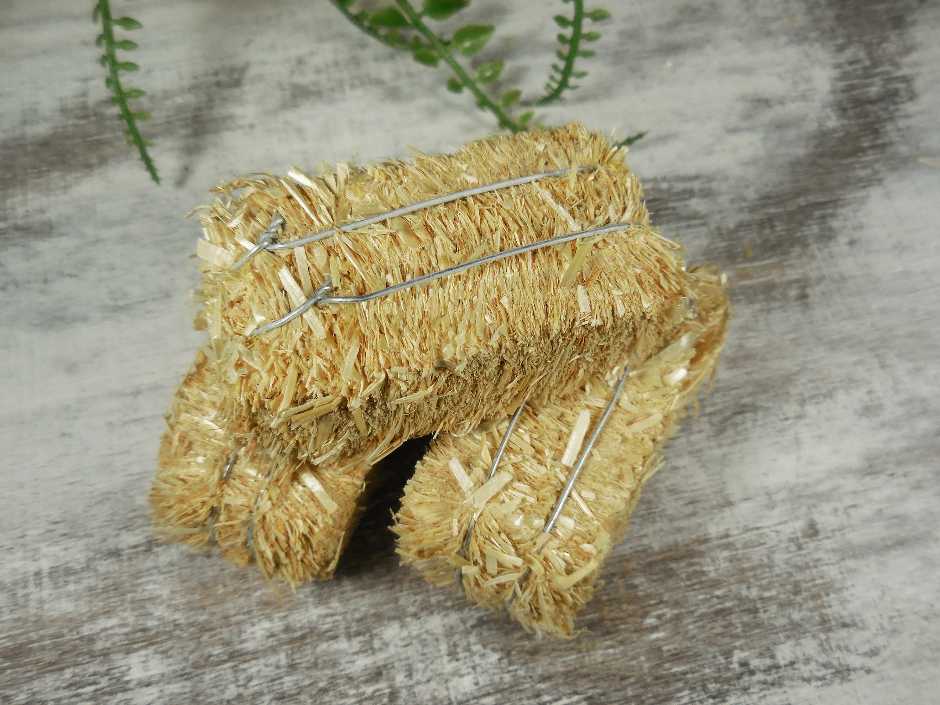 Mini Straw Bales -  Canada