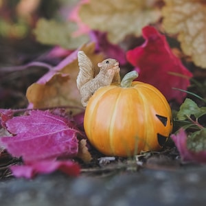 Miniature Squirrel w/ Jack o' Lantern Fairy Garden Accessory ~ Cemetery Haunted House Minis ~ Halloween Dollhouse & Craft Supplies