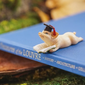 Fairy Garden Miniature Pig Scholar ~ Woodland Accessories and Miniatures for Fairies