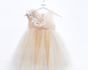 Gold glitter dress with embroidery, baby birthday dress