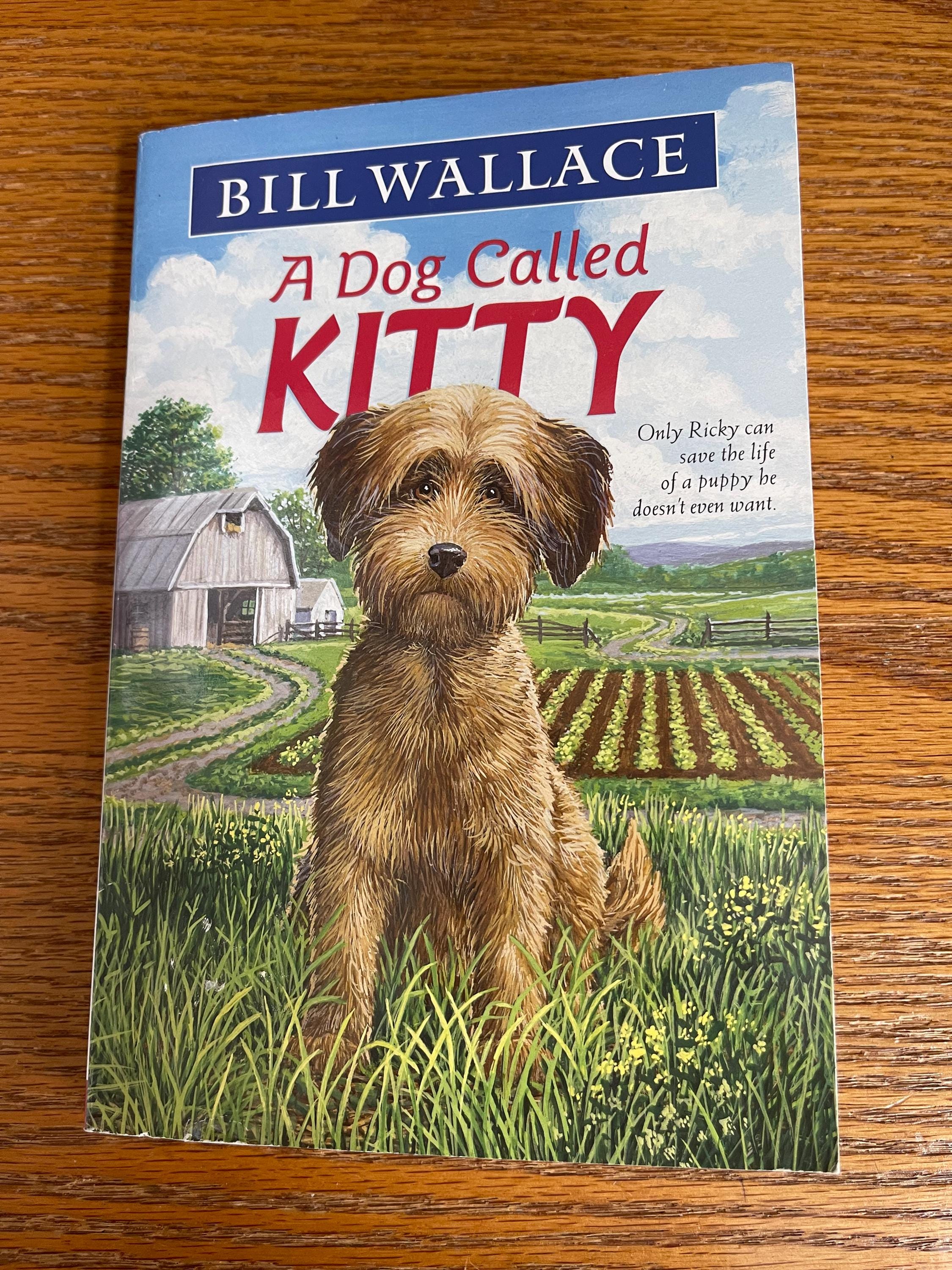 Vintage Children's Soft Cover Book: A Dog Named Kitty by Bill