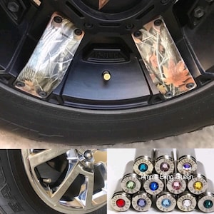 May include: A set of 12 silver bullet valve stem caps with different colored rhinestones. The caps are labeled "Federal" and "40 S&W".