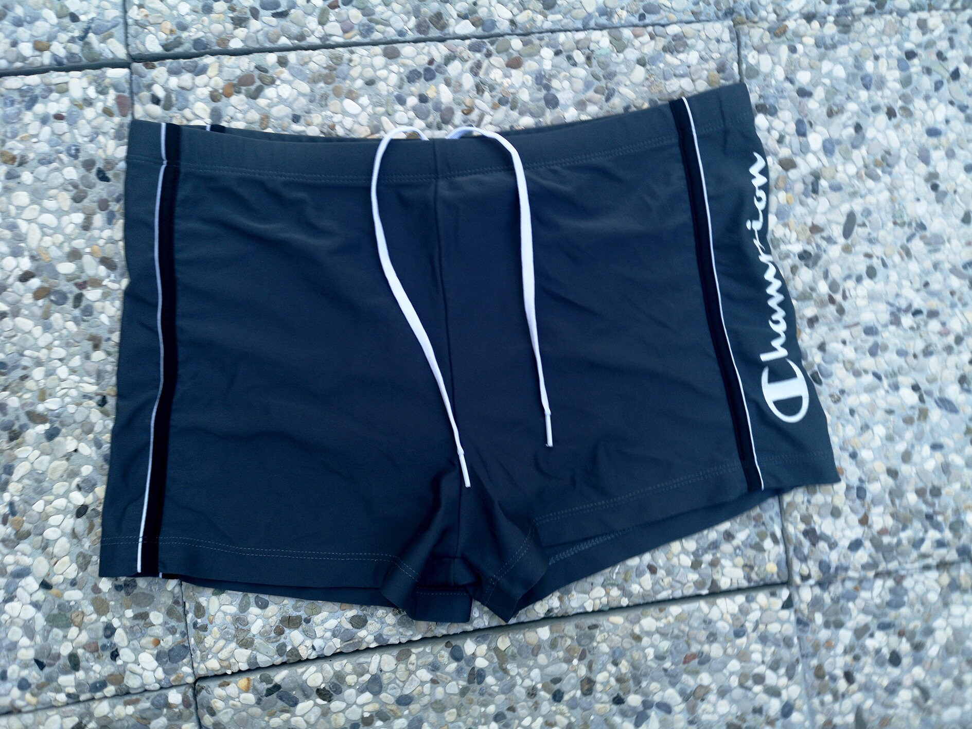 champion bathing suit mens