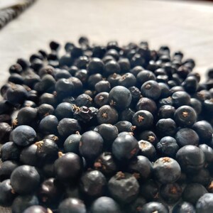 Organic Juniper Berries, NEW HARVEST, Wild Harvested 2oz