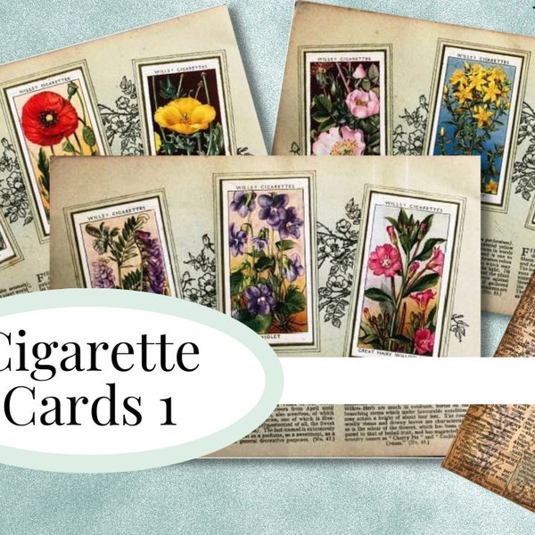 Vintage Cigarette Cards - An Album of Wild Flowers Set 1