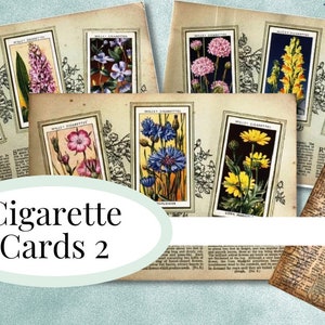 Vintage Cigarette Cards - An Album of Wild Flowers Set 2