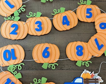 Farm blue truck pumpkin birthday photo banner, Fall pumpkin truck birthday photo garland, Milestone banner