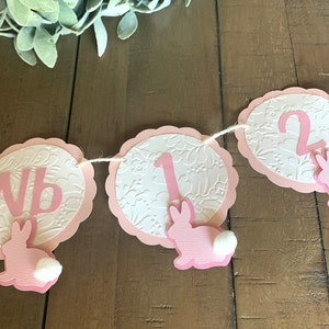 Some bunny is one  monthly photo banner, bunny 1st birthday decoration, Easter first birthday, some bunny is one, bunny garland.