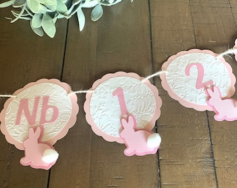 Some bunny is one  monthly photo banner, bunny 1st birthday decoration, Easter first birthday, some bunny is one, bunny garland.
