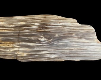 Petrified Wood - Gray and Taupe with Sparkle