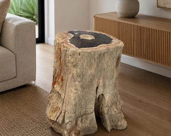 Organic Petrified Palm Stump, Black White and Rose Tones, Polished Top