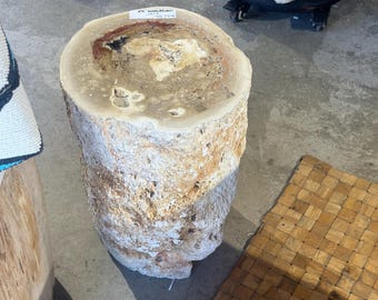 Petrified Palm Stump 16 Inch Tall, Collectors Fossilized Wood Piece, Natural Stone Pedestal