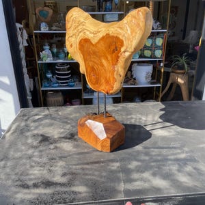 Hand Carved Abstravt Acacia Sculpture on base