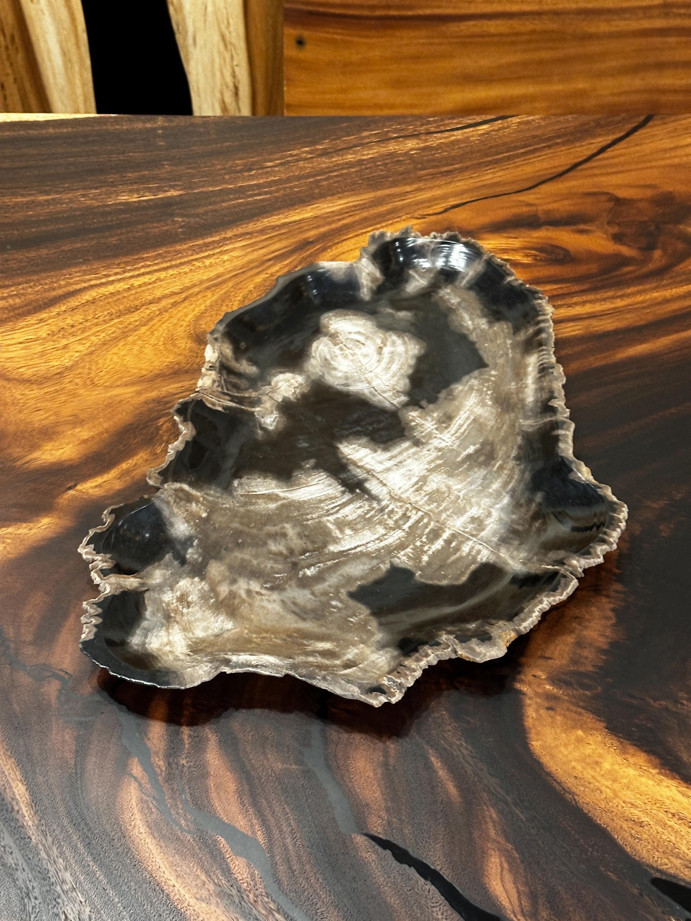 Vintage ＊ petrified wood tray Natural Stone Serving Tray - Petrified Wood Charcuterie