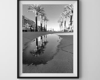 Black and White Hermosa Beach Wall Art - Palm Tree Reflections Print - Coastal Minimalist Decor