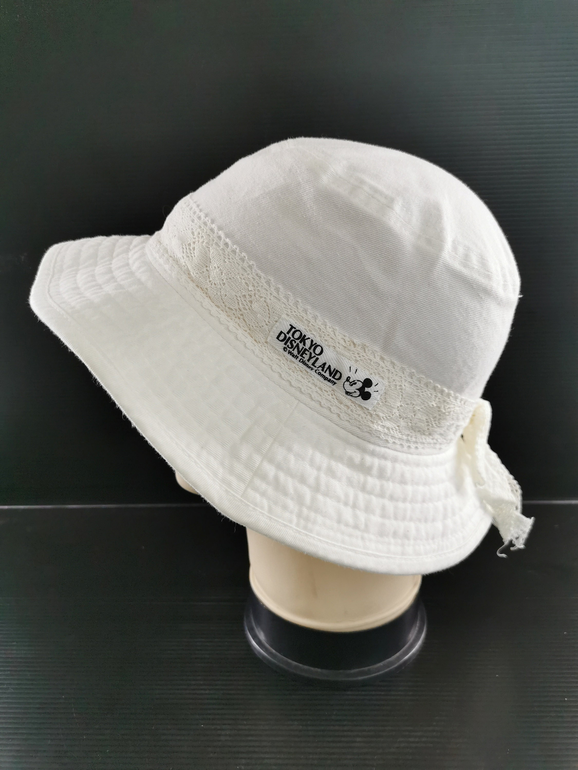 Tokyo Disneyland Hat - Etsy