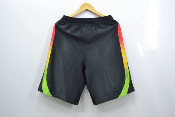 champion rainbow shorts