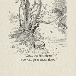 Ervas daninhas também são flores - Citações do Ursinho Pooh - Impressão de pôster estilo vintage clássico do Eeyore nº 65