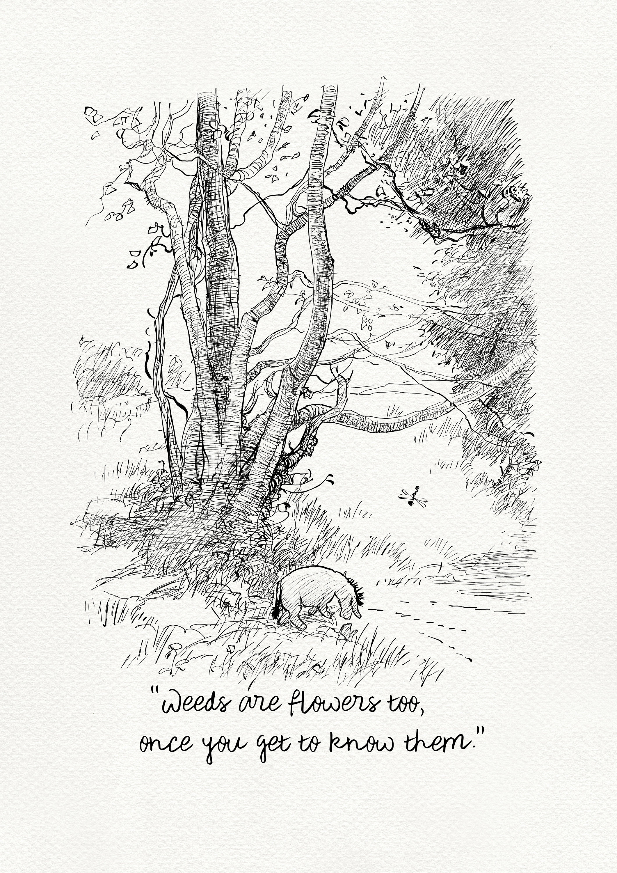 Weeds Are Flowers Too Winnie the Pooh Quotes Eeyore Etsy Australia