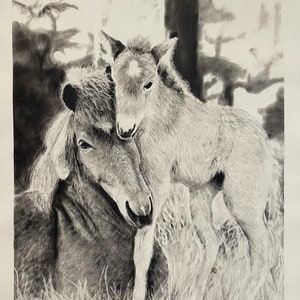 Horse & Baby Foal Charcoal Drawing