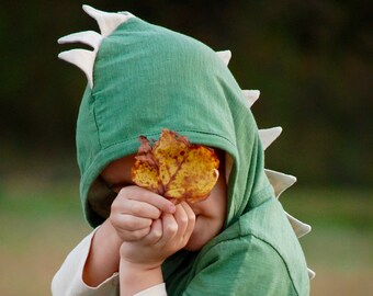 Dinosaur Sweater, 2T Dinosaur Hoodie, Baby Dino, Dinosaur Toddler, Baby T Rex, Spikes, boy Dino, Girl Dino, 18-24 month Dino hoodie